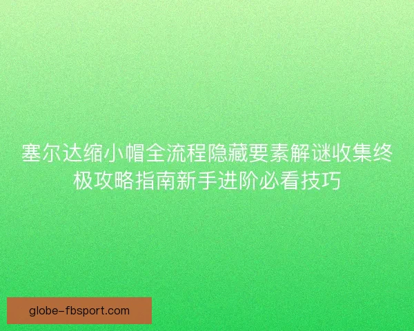 塞尔达缩小帽全流程隐藏要素解谜收集终极攻略指南新手进阶必看技巧